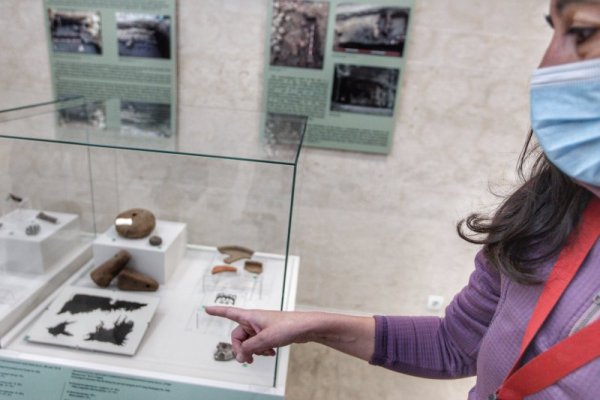 Снимка: Димитър Кьосемарлиев, Dnes.bg