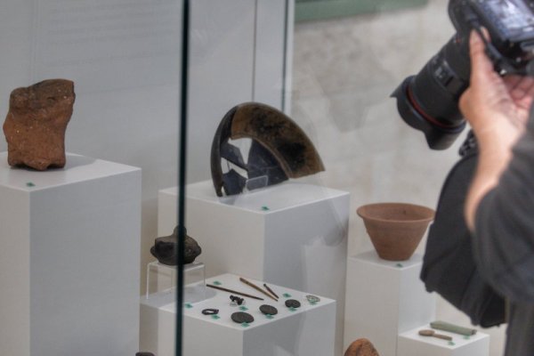 Снимка: Димитър Кьосемарлиев, Dnes.bg