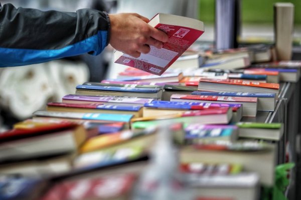 Снимка: Димитър Кьосемарлиев, Dnes.bg