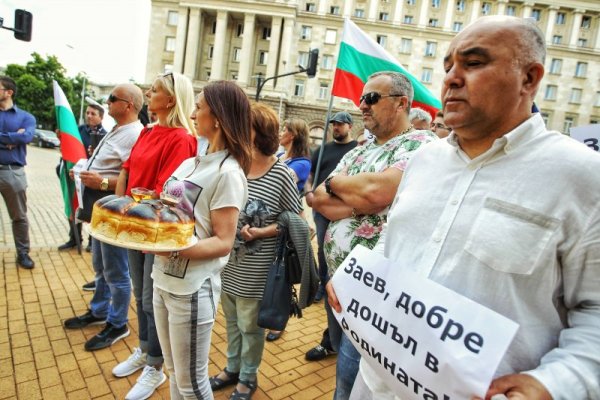 Снимка: Димитър Кьосемарлиев, Dnes.bg