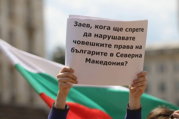 Снимка: Димитър Кьосемарлиев, Dnes.bg