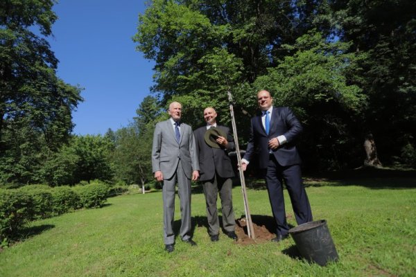 В парка на двореца "Врана" бившият министър-председател /2001-2005 г./ и цар на България /1943-1946 г./ Симеон Сакскобургготски засади хартиено дърво. На церемонията по засаждането присъства посланикът на Словакия Н.Пр. Мануел Корчек. Хартиеното дърво е дар от музея на замъка "Свети Антон", който се намира в Словакия. Снимка: БГНЕС