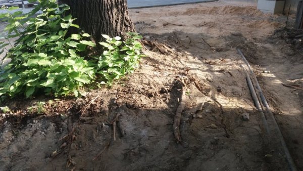 Снимка: Helpbook