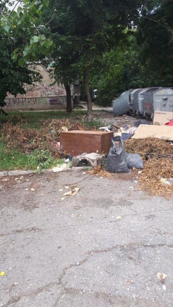 Снимка: Helpbook