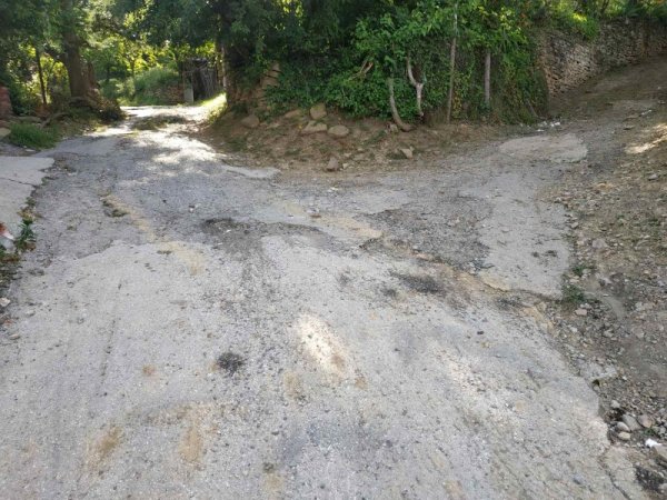 Снимка: Helpbook