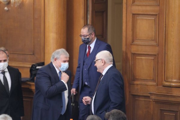 Снимка: Димитър Кьосемарлиев, Dnes.bg