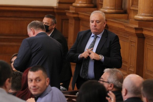 Снимка: Димитър Кьосемарлиев, Dnes.bg
