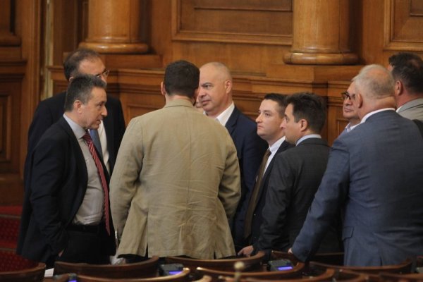 Снимка: Димитър Кьосемарлиев, Dnes.bg
