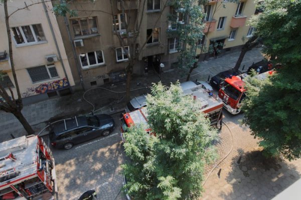 Снимка: Димитър Кьосемарлиев, Dnes.bg
