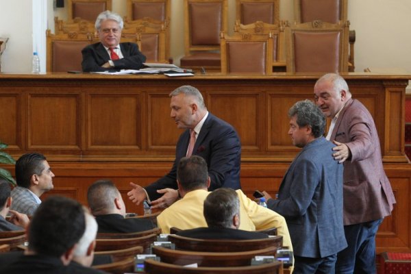 Снимка: Димитър Кьосемарлиев, Dnes.bg