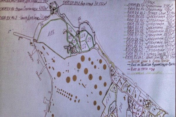 Снимка: Димитър Кьосемарлиев