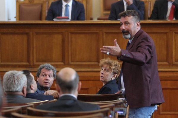 Снимка: Димитър Кьосемарлиев, Dnes.bg