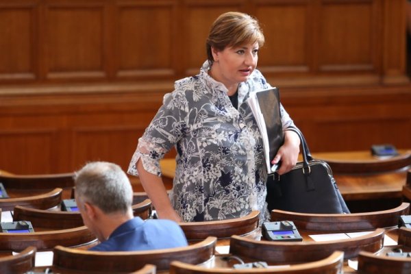 Снимка: БГНЕС