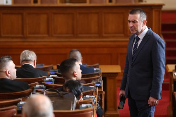 Снимка: БГНЕС