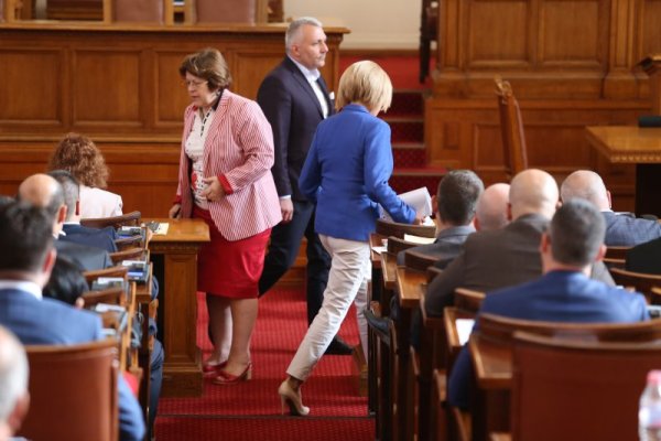 Снимка: БГНЕС