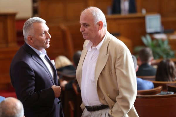 Снимка: БГНЕС