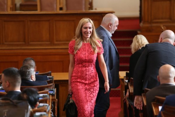 Снимка: БГНЕС