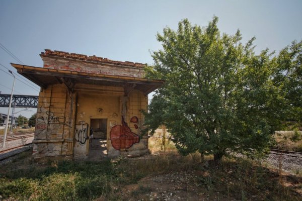 Снимка: Димитър Кьосемарлиев, Dnes.bg