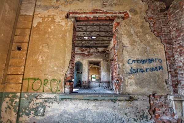 Снимка: Димитър Кьосемарлиев, Dnes.bg