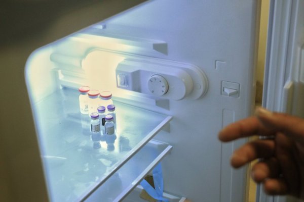 Снимка: Димитър Кьосемарлиев, Dnes.bg
&nbsp;