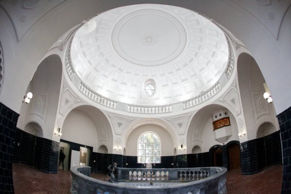 Снимка: Димитър Кьосемарлиев, Dnes.bg