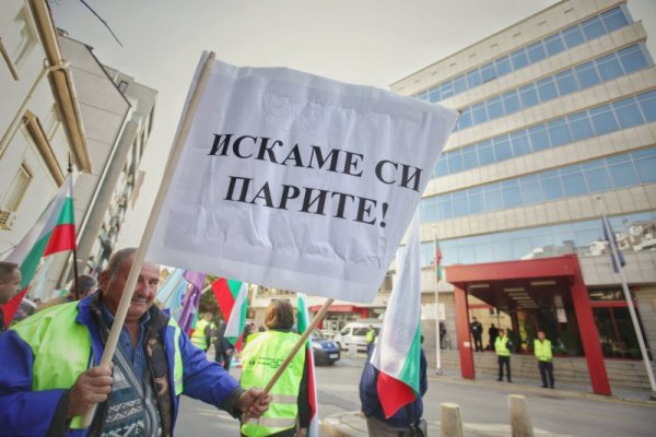 Снимка: Димитър Кьосемарлиев, Dnes.bg