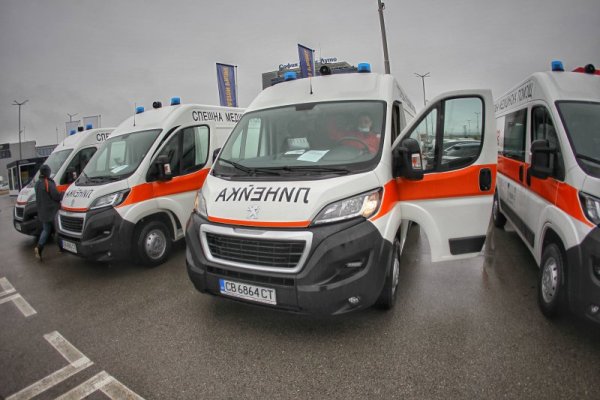 Снимка: Димитър Кьосемарлиев, Dnes.bg