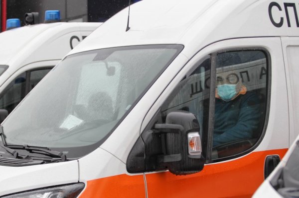 Снимка: Димитър Кьосемарлиев, Dnes.bg