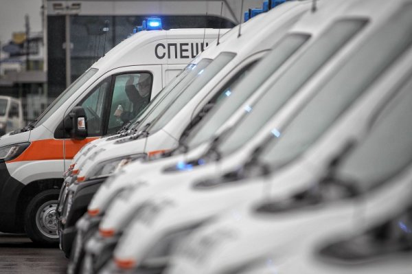 Снимка: Димитър Кьосемарлиев, Dnes.bg