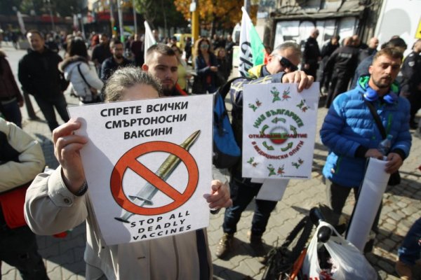 Снимка: Димитър Кьосемарлиев, Dnes.bg