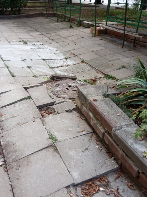 Снимка: HelpBook