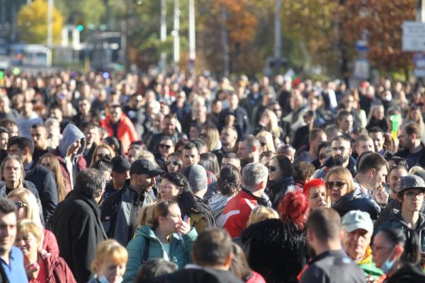 Снимка: Димитър Кьосемарлиев, Dnes.bg