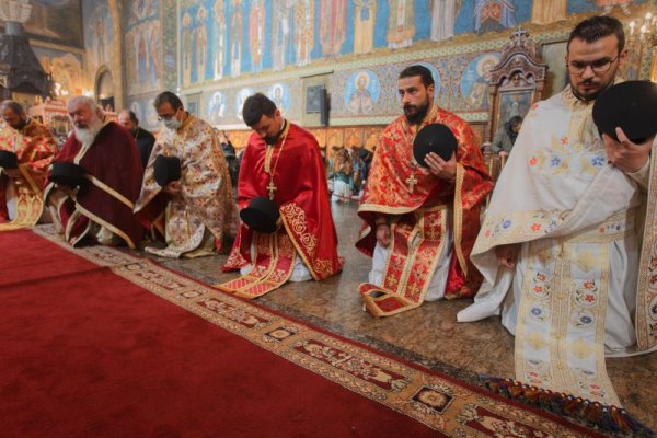 Снимка: Димитър Кьосемарлиев, Dnes.bg