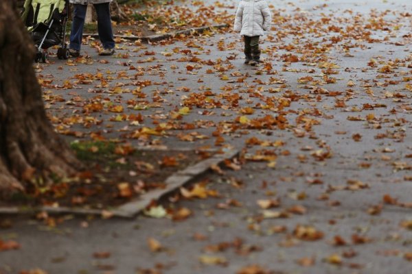 Есен в Борисовата градина. Снимка: БГНЕС
&nbsp;