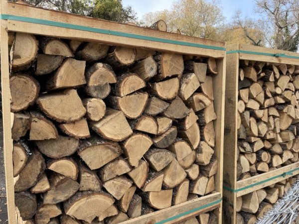 За поредна година продължава покачването на цените на дървата за огрев. Още през септември цената на дървата за огрев се покачи по данни на Изпълнителната агенция по горите един кубик се продаваше тогава средно между 90 и 120-130 лв., а на места достигаше 200 лв. Незаконната сеч се засилва също по време на отоплителния сезон. Снимка: БГНЕС
&nbsp;