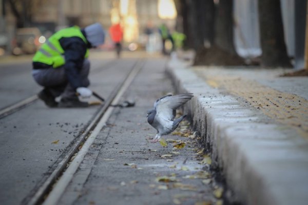 Снимка: Димитър Кьосемарлиев, Dnes.bg