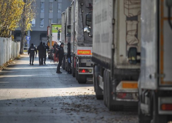 Снимка: Димитър Кьосемарлиев, Dnes.bg