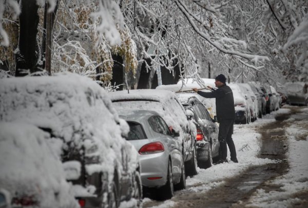 Снимка: Димитър Кьосемарлиев, Dnes.bg