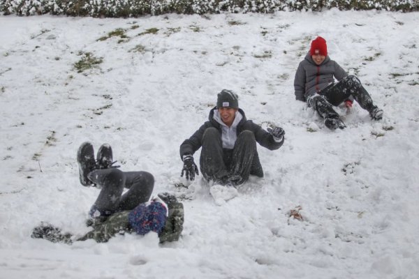 Снимка: Димитър Кьосемарлиев, Dnes.bg