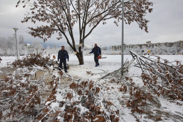 Снимка: Димитър Кьосемарлиев, Dnes.bg