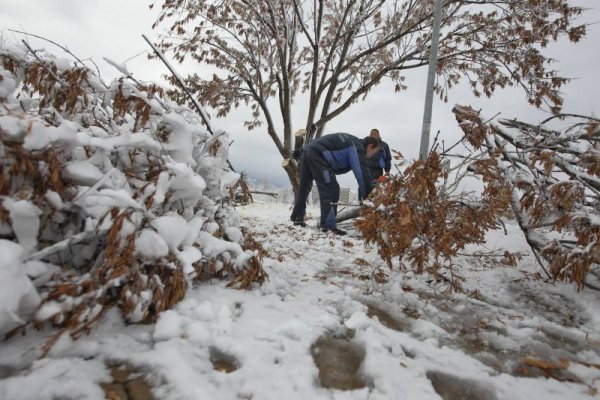 Снимка: Димитър Кьосемарлиев, Dnes.bg