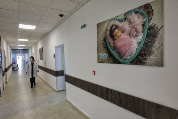 Снимка: Димитър Кьосемарлиев, Dnes.bg