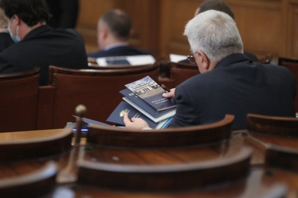 Снимка: Димитър Кьосемарлиев, Dnes.bg