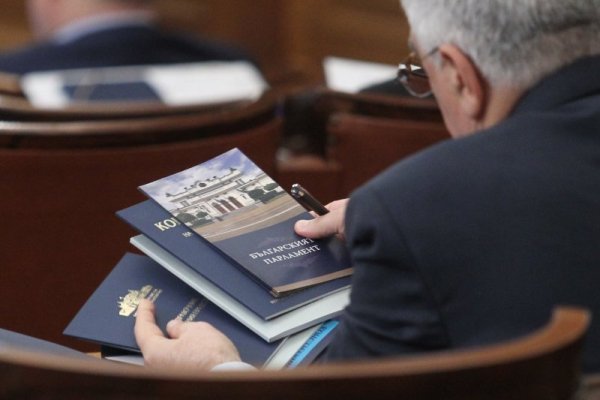 Снимка: Димитър Кьосемарлиев, Dnes.bg
