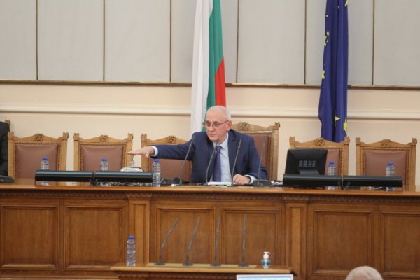 Снимка: Димитър Кьосемарлиев, Dnes.bg