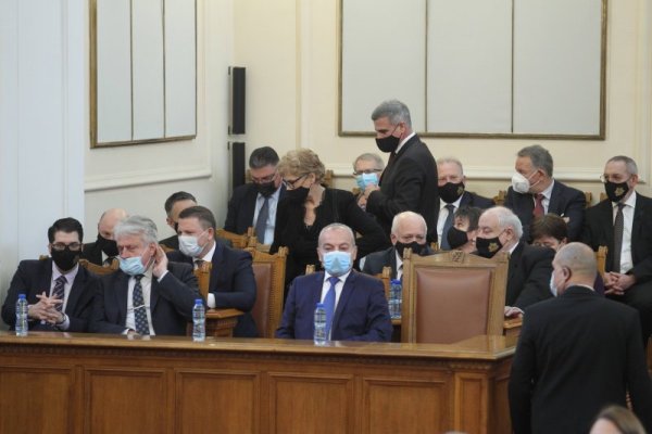 Снимка: Димитър Кьосемарлиев, Dnes.bg