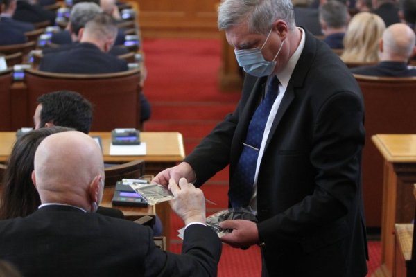 Снимка: Димитър Кьосемарлиев, Dnes.bg