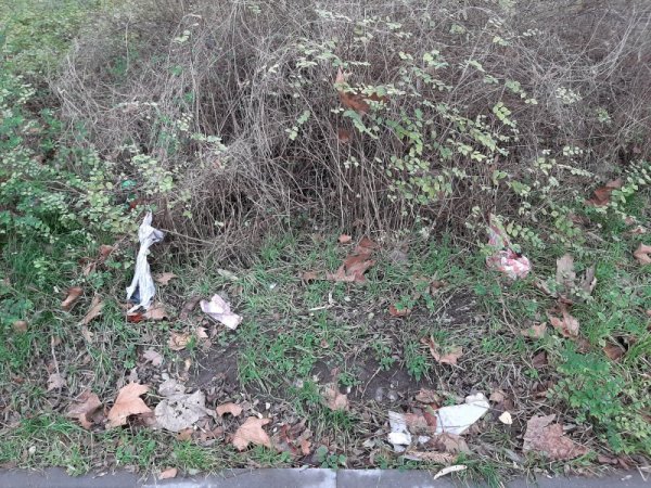 Снимка: Helpbook