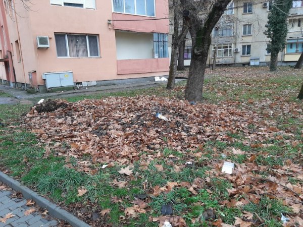 Снимка: Helpbook