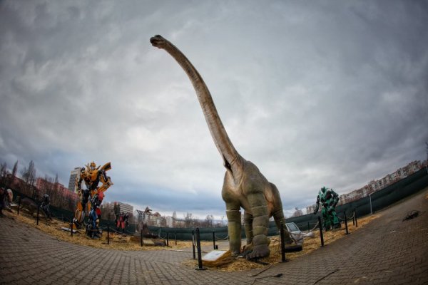 Снимка: Димитър Кьосемарлиев, Dnes.bg